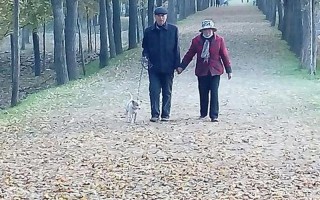 感人的爱情小说_时光之河淌过，我们的爱永不消散