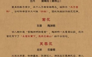 测试古代名字的网站_探寻古代人名的奥秘：一览历史长河中的动人称谓
