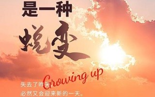 工作中的压力—逆境下的蜕变：工作压力下的成长与超越