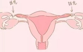 女生和男生怎么样才能怀上宝宝呢—解锁生育密码：女生男生孕育指南