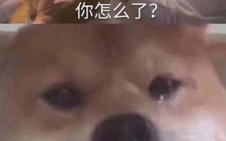 你把我弄哭了表情—与你云雨成空，可否将我宠溺至泪流满面