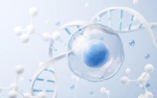生理需要是什么(生理需求的本质：生存与维持生命的基石)