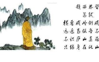 旁观者清当局者迷是苏轼的哪首诗—当局迷雾重重，旁观透彻清明