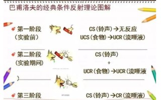 巴普洛夫的铃铛之谜：条件反射揭秘