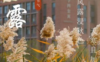 小寒节气：冬至余寒未尽，万物蓄势待发