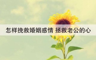 拯救婚姻的办法(挽救婚姻之道：点燃希望，重建爱巢)