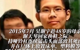 北大弑母原因—母子决裂的极端罪行：北大弑母案成因剖析