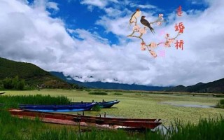 八分钟约会攻略_八分钟遇见缘分之约
