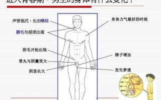 男生的小几几多大才正常_青春期男孩小几几尺寸：揭秘发育的平均值
