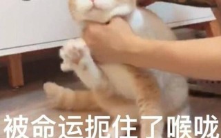  *** 被接听了怎么办_接线忙音扼住喉咙，我哑口无言