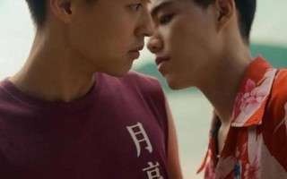 你是男的我也爱电影(男儿身，影亦醉)