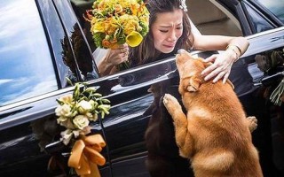小夫妻生活_相濡以沫：小夫妻的温馨日常