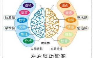 右脑型思维者(直觉与创造力交织：释放右脑思维潜能)