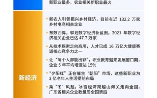 新职业机遇与职业发展