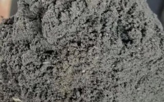不怕什么就怕一尺八的腰—揭秘不怕一尺长，就怕毛里藏”的智慧