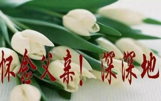 女儿对逝去父亲的思念显示了什么_暮雪寻踪，寄语故父