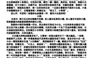 我是小白兔吗？一探究竟