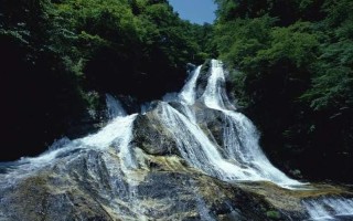 泉涌指尖，湿润天地