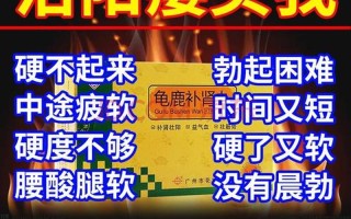 男性补肾药品—肾气焕发，雄风再现，重振男人本色