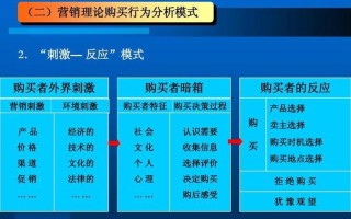 消费者行为理论(消费者行为解析：理论与实际应用)