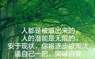 潜能的意思—潜能无限 绽放自我