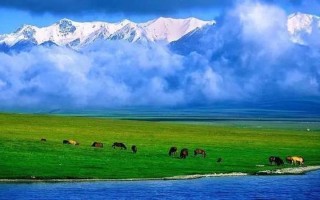 深圳情感咨询_深圳解忧驿站：情感的天空由你做主