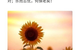 岁月之耕，责任之擎