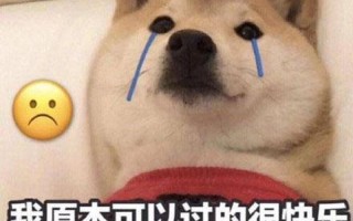 乏味的生活想要变一个富婆什么歌—乏味的流水线，生活的单调刻度