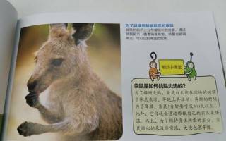 所有的袋鼠(袋鼠家族中沉默的大多数：揭秘非袋熊物种的秘密生活)