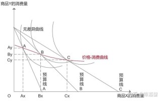 吉芬商品得以产生的前提条件有_吉芬商品成因：价格效应与替代效应