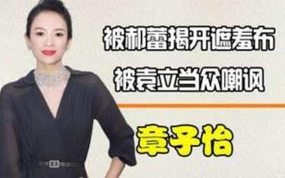 嘲讽加上吹捧，口是心非话中藏