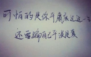 你一定很恨我(你一定恨透了我，还能像以前一样爱我吗？)