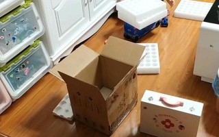 带电动玩具上课(带电玩具走进课堂,寓教于乐启童年)