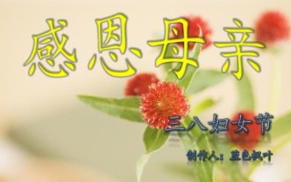 感恩妈妈，三八情深，爱意永恒