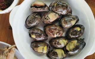 撩开你的贝壳，让我尝尝鲜海味