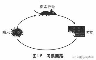 如何一支笔搞自己(一支笔的万般花样：从懒癌自救到文艺作妖)