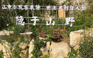 什么叫人际关系网—人际交织中的微妙