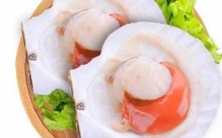 宝贝腿打开一点就能吃扇贝(宝贝腿轻启，扇贝入口香)