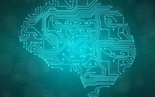 女生加速尖叫的科学探究：揭秘背后的生理与心理机制