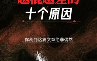 为什么越快越想叫—越快越想唤停时光