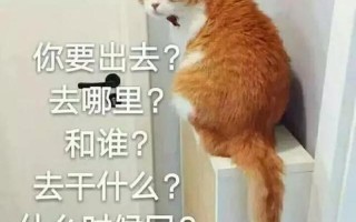 一按我帮你_一按我助你，轻松解决烦恼事