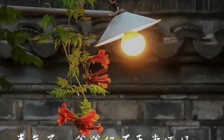 父亲，我有一个愿望，您能答应我吗？