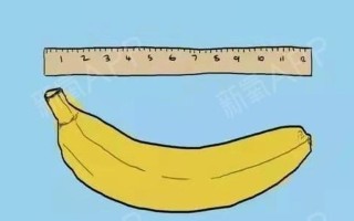 男人理想的黄金尺寸：揭秘标准长度的奥秘